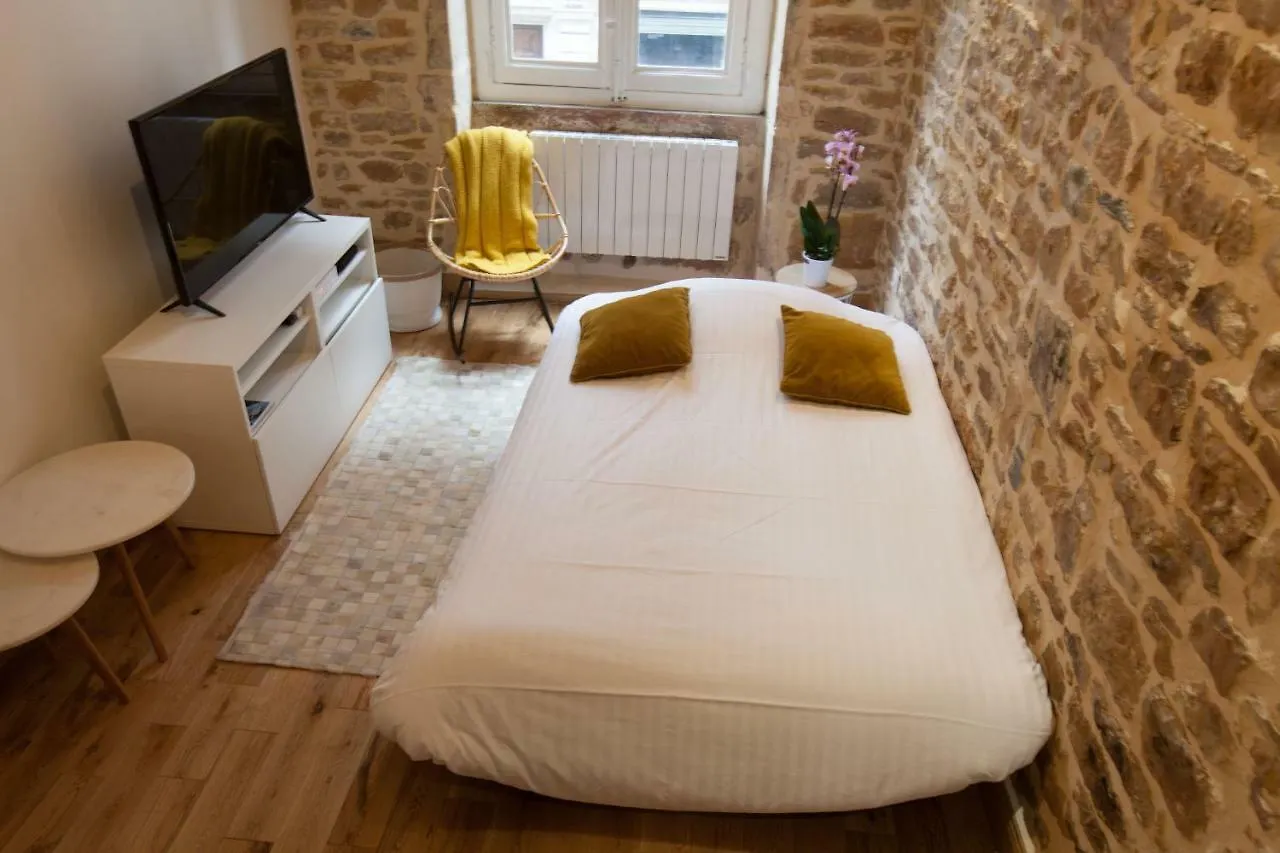 Hamac Suites - Studio Ainay 4 - Hyper Centre Lyon Apartment